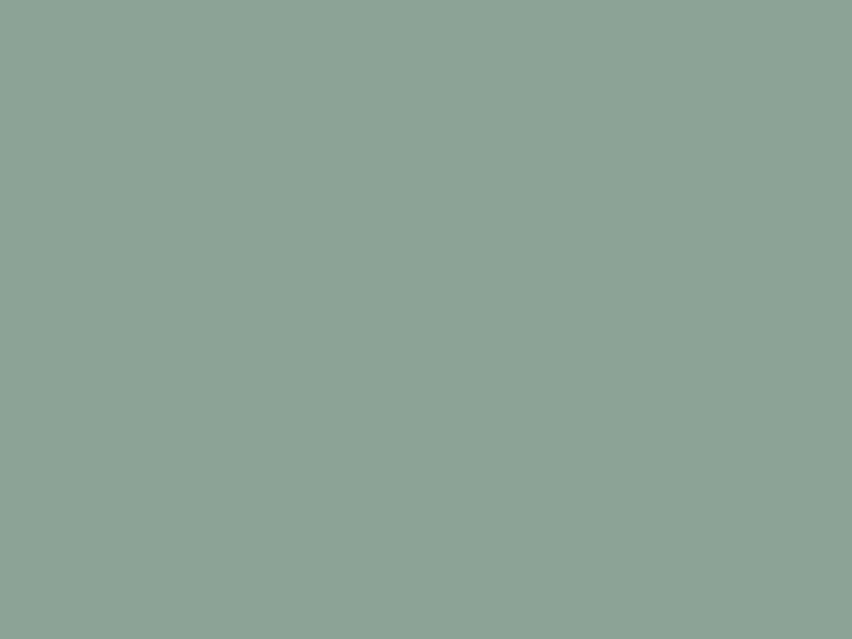 Representative UAT image for Scissors FLUX-008